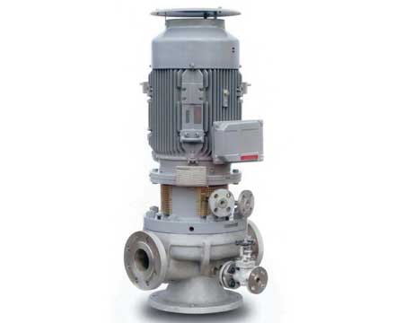 GabbionetaBegemann-BS-OH5-type-API-610-Centrifugal-Pump.jpg GabbionetaBegemann BS OH5 Type API 610 Centrifugal Pump
