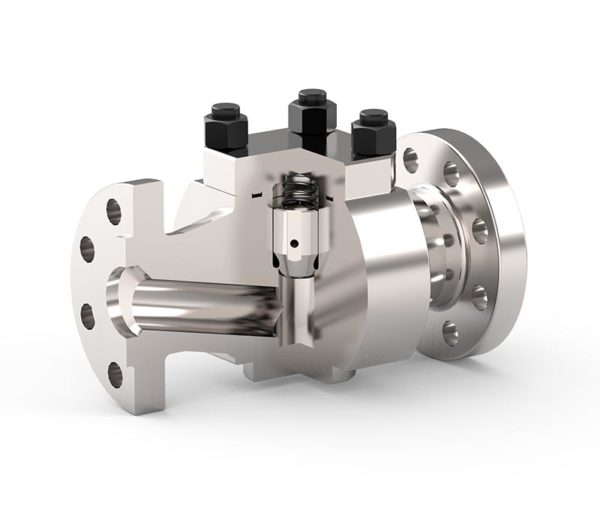 Dual Plate Check Valves Trillium Flow Technologies™
